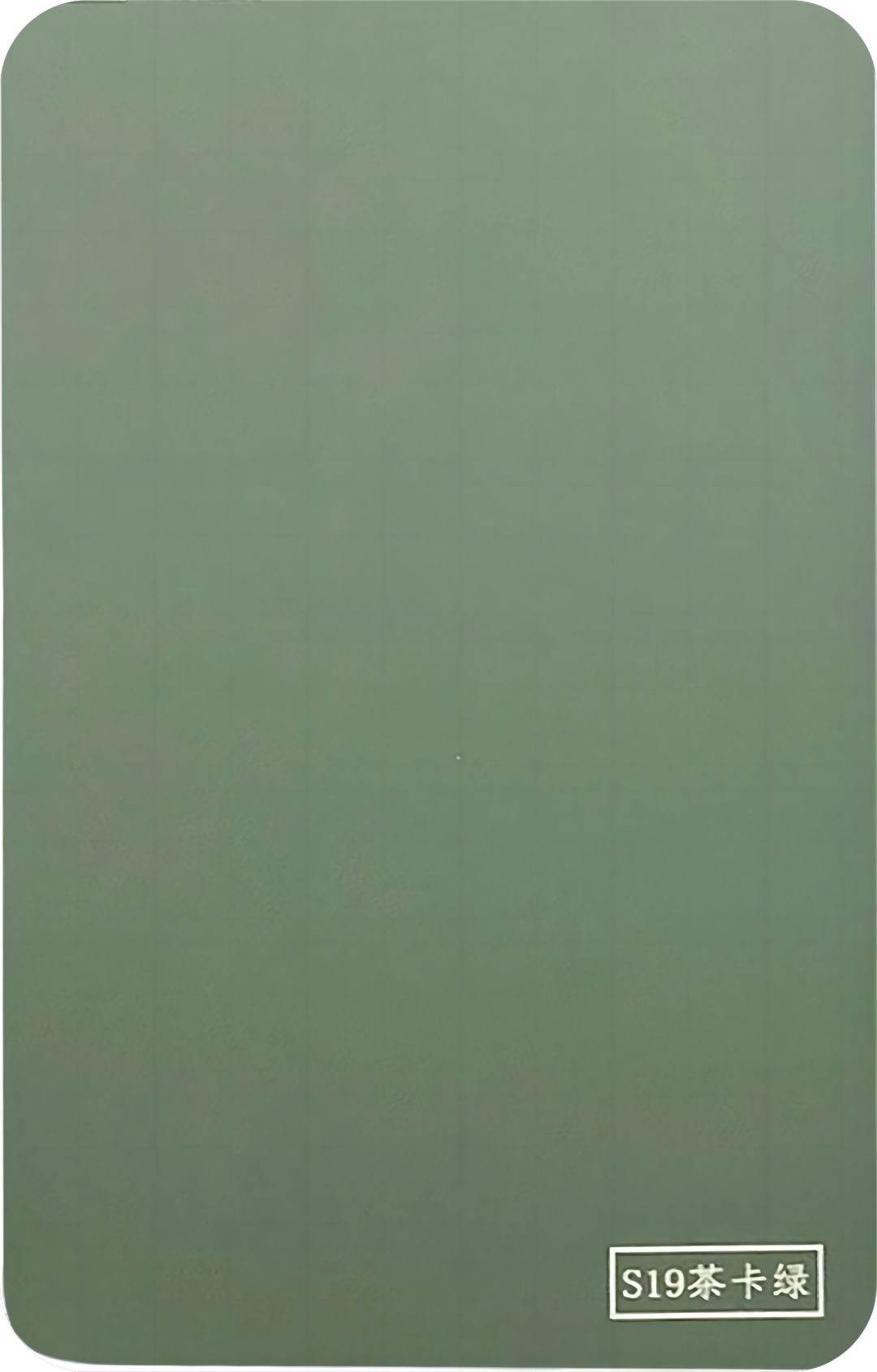 S19-茶卡绿